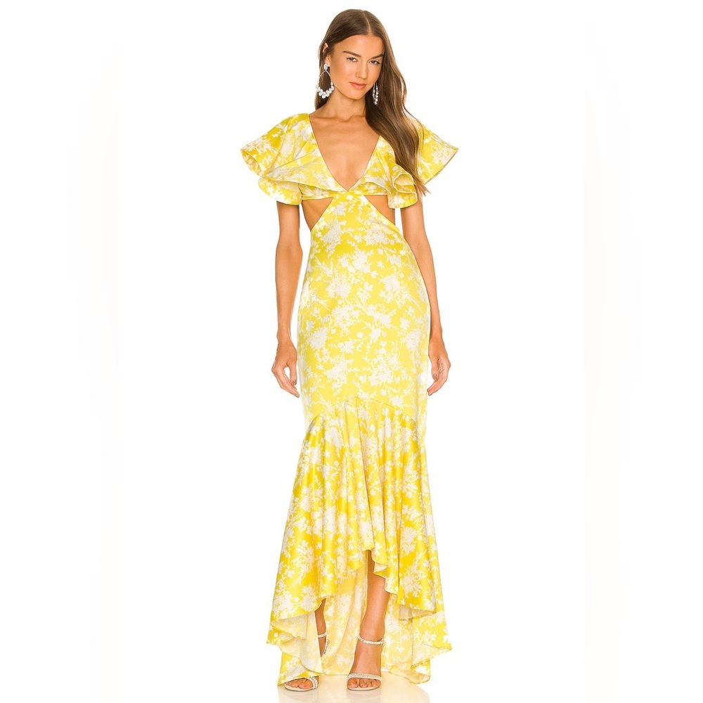 EXCLUSIVE: Michael Costello x REVOLVE Rae Maxi Dress